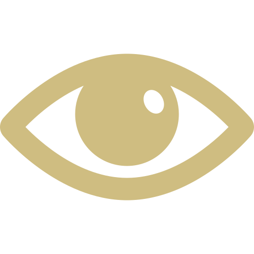 eye yellow icon